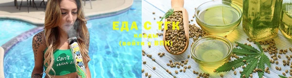 индика Няндома
