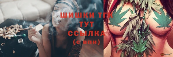 индика Няндома
