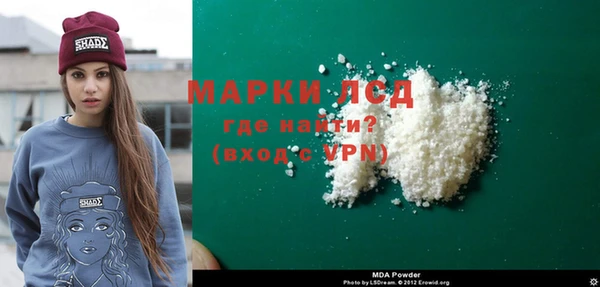 индика Няндома
