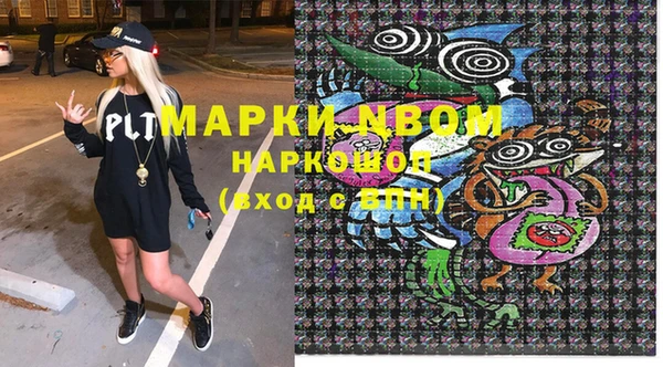 индика Няндома