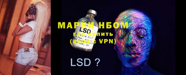 индика Няндома