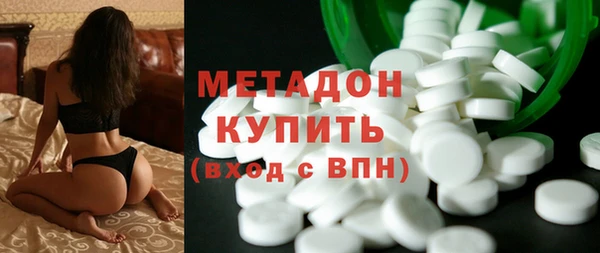 индика Няндома