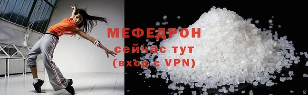 индика Няндома