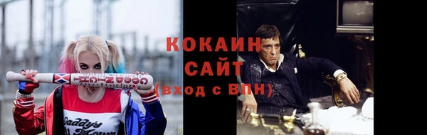 индика Няндома