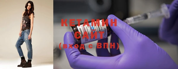 индика Няндома