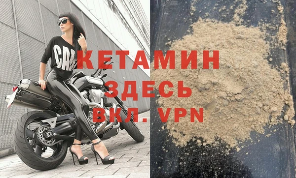 индика Няндома