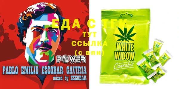 индика Няндома