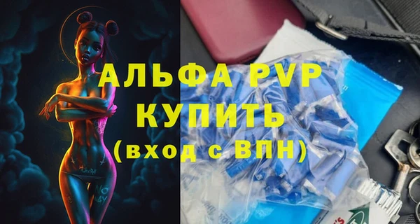 индика Няндома