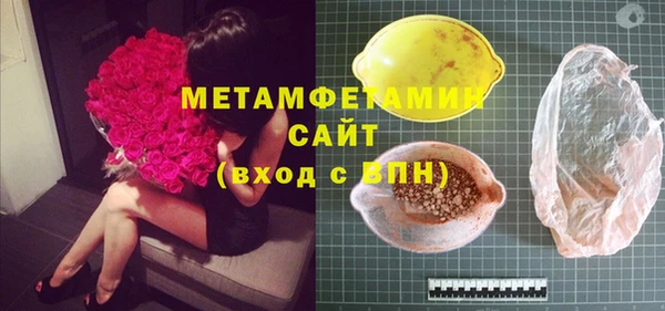индика Няндома