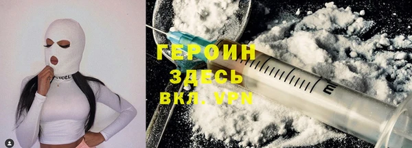 индика Няндома