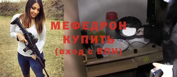 индика Няндома