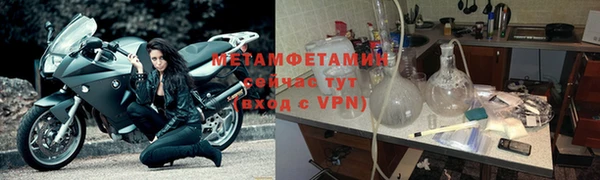 индика Няндома